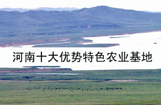 8月19日，河南省政府發(fā)布了關(guān)于深入推進(jìn)農(nóng)業(yè)供給側(cè)結(jié)構(gòu)性改革 大力發(fā)展優(yōu)勢(shì)特色農(nóng)業(yè)的意見(jiàn)