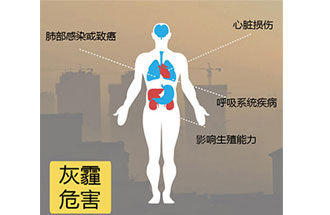 空氣中PM2.5 是由什么物質組成的？