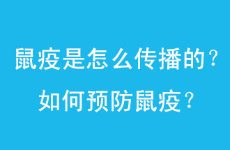 鼠疫是怎么傳播的？如何預(yù)防鼠疫？